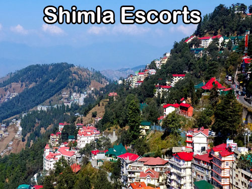 Female Escorts Shimla